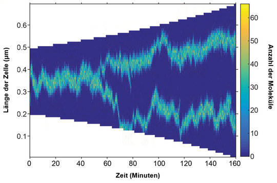 <div style="text-align: justify;">Stochastische Simulation, die die Positionierung in der Mitte und den Viertelpositionen zeigt. Der Fokuspunkt teilt sich aufgrund des Wachstums. Jegliche falsche Positionierung wird schnell korrigiert.</div>