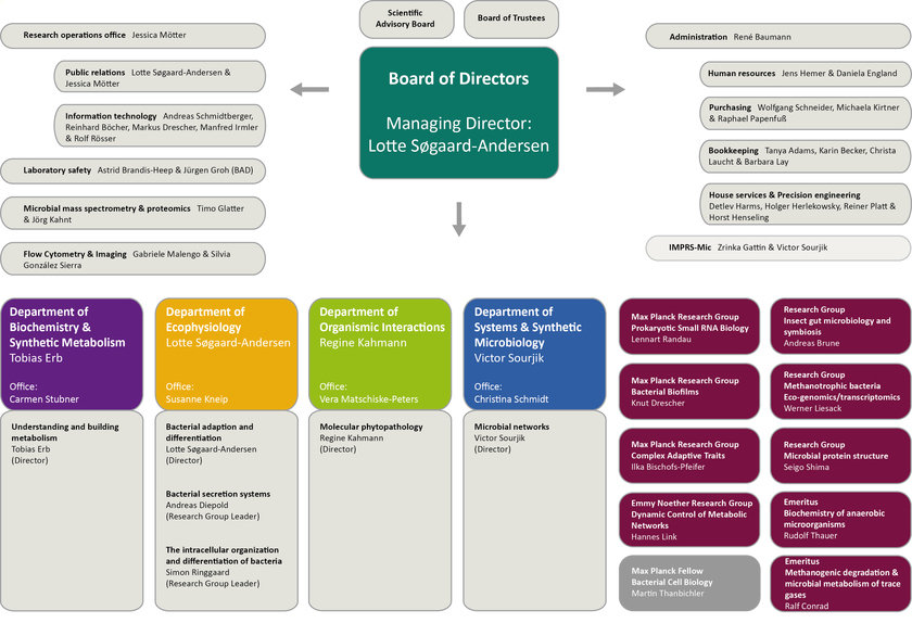 Organigram of the MPI for Terrestrial Microbiology as per October 2017