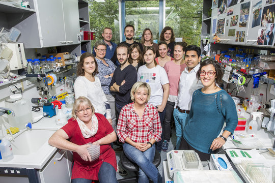 On a lovely sunny day in September 2015 some of us met in the lab while Anke, Magda, Janina, Dorota, Elisabeth, Marco, Ahmet and Reinhard were …