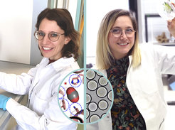 Iria Grundling (links) erhielt den VAAM PhD Award 2020 für ihre Arbeit zum Verständnis und zur Optimierung von CO2-fixierenden Enzymen.Tarryn Miller erhielt den MarBiNa Award 2020 für ihre Forschung zur synthetischen Photosynthese, die zur Entwicklung eines synthetischen Chloroplasten führte