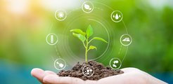 Das von der EU geförderte Projekt GAIN4CROPS entwickelt neuartige disruptive Technologien, um eine der Haupteinschränkungen der photosynthetischen Effizienz zu überwinden: die Photorespiration, ein Prozess, der die CO2-Assimilationseffizienz und damit den Biomasseertrag und die landwirtschaftliche Produktivität reduziert.