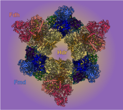 The massive complex carries out flavin-based electron bifurcation (FBEB) and directly transfers electrons to the CO2-reducing site for entry into the methanogenic cycle. Hdr = Heterodisufide reductase, Fdh = Format dehydrohenase, Fmd= formylmethanofuran dehydrogenase. Reprinted with permission from Watanabe & Pfeil-Gardiner et al., Science (2021)
