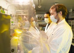 Because the FeGP cofactor is sensitive to oxygen and blue light, most experiments have to be conducted under special protective conditions in an anaerobic chamber.