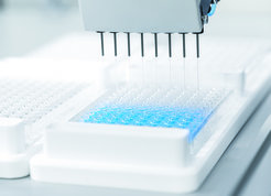 In the collaboration between the MPI and Festo, an automated dispenser was developed to optimize individual enzymes of photosynthesis. To do this, thousands of variants of an enzyme have to be tested. Compared to manual pipetting, the automated dispenser performs this task much faster and without errors. In addition, the dispenser can be adapted to new tasks within seconds. (Source: PhotoBionicCell | Festo DE, https://www.festo.com/de/de/e/ueber-festo/forschung-und-entwicklung/bionic-learning-network/photobioniccell-id_1330847/)