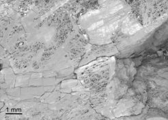Fig. 2: Scanning Electron Microscopy images of a rock sample collected at Rainbow hydrothermal field (a serpentinizing system)