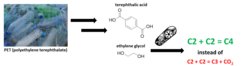 Researchers have developed a more efficient, carbon dioxide-conserving route to upcycle ethylene glycol, a constituent of the plastic PET. Their ‘cell factories’ offer new opportunities for the microbial upcycling of PET.