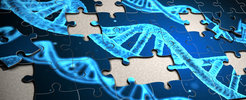 A jigsaw puzzle with DNA imprinted on it and missing pieces. The DFG's new Research Training Group in Marburg is dedicated to the study of nucleotide metabolism.