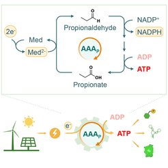 AAA-Cycle.