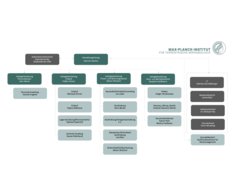 Organization Chart Administration & Infrastructure