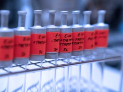 © Max-Planck-Institut für terrestrische Mikrobiologie/Geisel