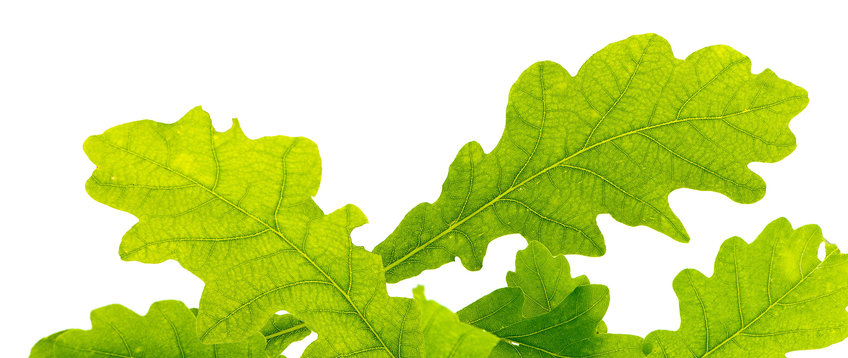 Green Science Lab Green Science Lab