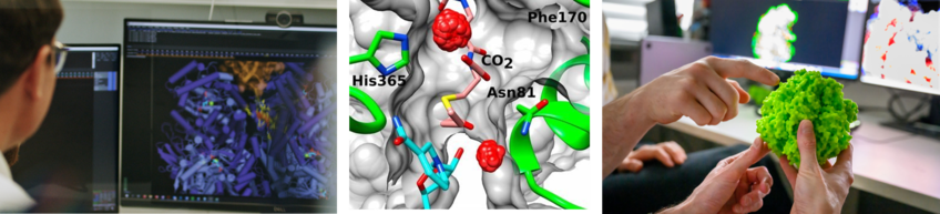 Biochemistry and evolution of natural CO2 fixing enzymes  