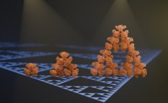 © Max-Planck-Institut for Terrestrial Microbiology/Hochberg