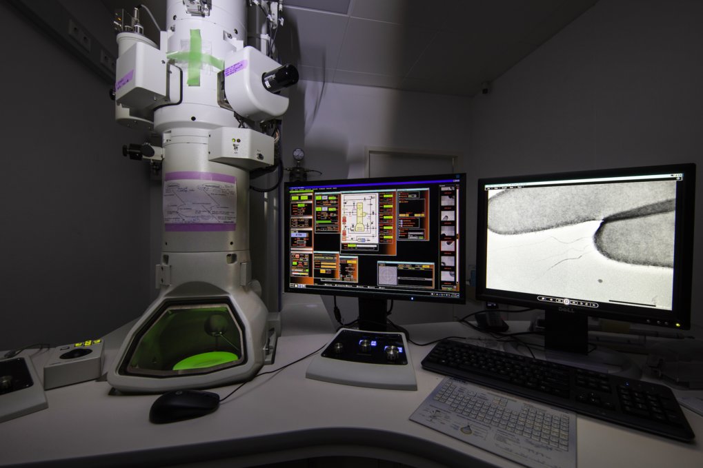 Research Area