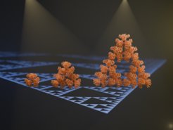 Georg Hochberg studierte und forschte in Oxford und Chicago, bevor er als Max-Planck Forschungsgruppenleiter nach Marburg kam. Er ermutigt junge Menschen, ihren Ideen ohne Scheu nachzugehen. Die Begeisterung für sein Fach motiviert ihn immer aufs Neue und gerne gibt er sie in seinen Vorträgen und im Gespräch weiter.