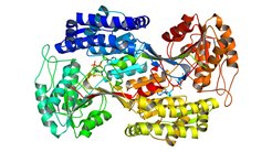 Die Succinat-Semialdehyd-Dehydrogenase (SAD) ist in E. coli für ihre Rolle bei der Entsorgung giftiger Nebenprodukte (Aldehyde) bekannt. Durch adaptive Labor-Evolution (ALE) kamen weitere Fähigkeiten des Enzyms zum Vorschein. Diese Promiskuität dieses und anderer Enzyme könnten ein Ansatzpunkt zur Entwicklung neuer Stoffwechselwege sein.
