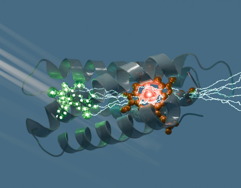 Research area