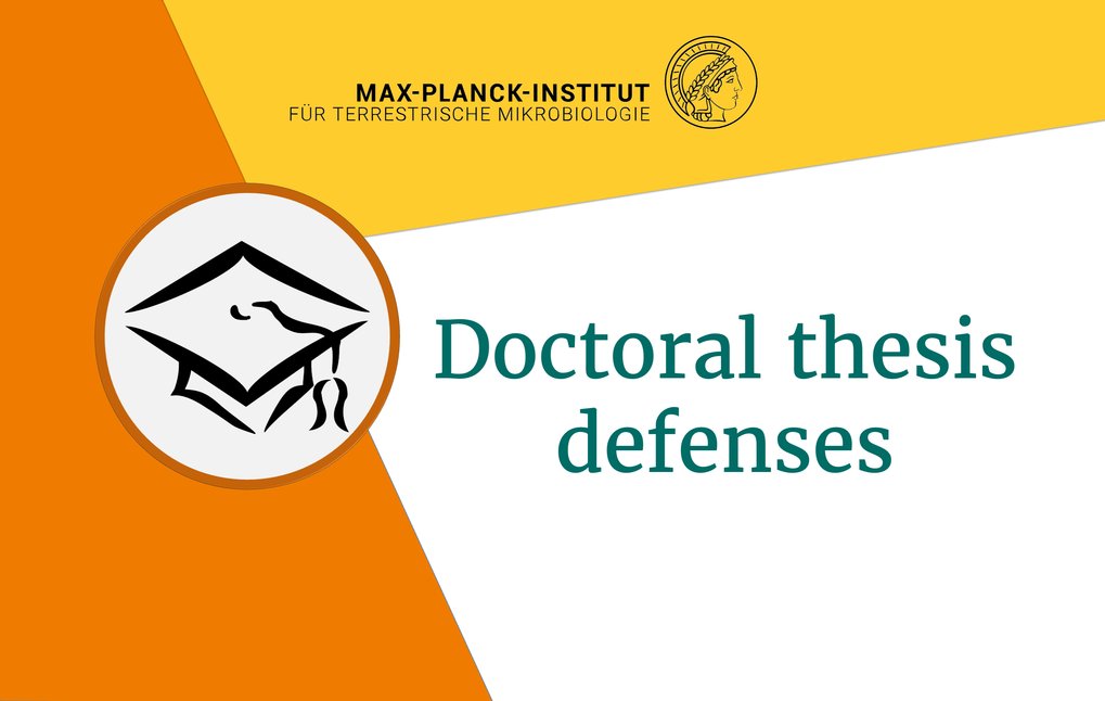 Doctoral thesis defenses