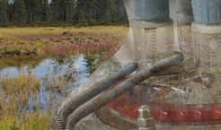 Links im Bild ein natürliches Feuchthabitat mit Wasser und Gräsern, im Hintergrund ein Wald. Rechts eingeblendet eine Laborapparatur