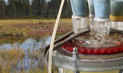Ein wissenschaftliches Messgerät mit Schläuchen und Glasflaschen im Vordergrund, dahinter eine Sumpflandschaft mit Wasserflächen und Bäumen.