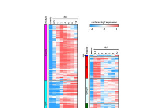 <p><span>RNAseq profiling of <em>U. maydis</em> during biotrophic stages of development</span></p>