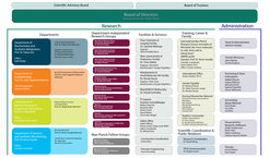 Structure of the MPI for Terrestrial Microbiology as of January 2025