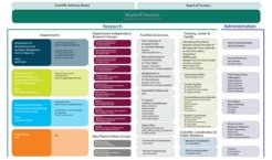 Structure of the MPI for Terrestrial Microbiology as of June 2025