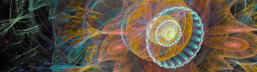 Motility Motility