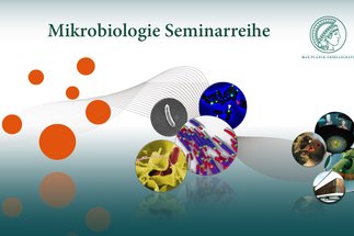 Mikrobiologie Seminarreihe