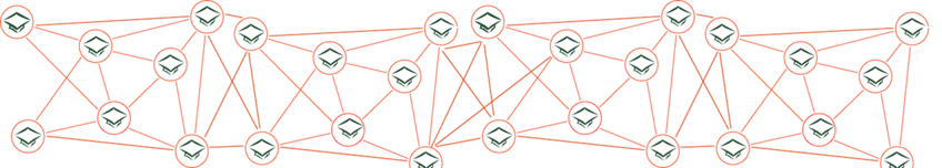 Doctoral Researcher Network