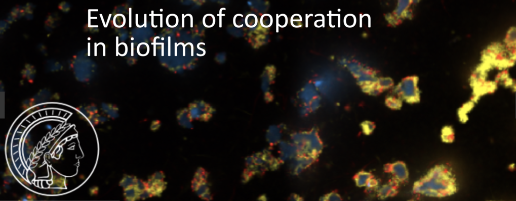 Biofilms in Ecology and Evolution Biofilms in Ecology and Evolution