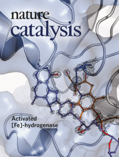 Nature Catalysis, June 2019