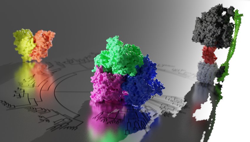 Evolutionary Biochemistry Evolutionary Biochemistry