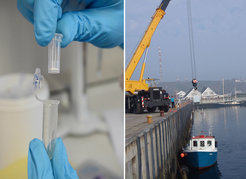 Microbial research ranged from unraveling molecular principles in the laboratory to verifying their significance for the marine ecosystem.