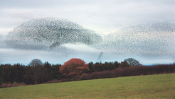 Walkers often admire the precisely coordinated and yet fascinatingly flowing movement of flocks of birds in the sky - as if guided by an invisible hand. Not only birds, fish and human crowds show this behaviour, but also motile bacteria form intermittent jets and swirls of groups of cells. Researchers at the Max Planck Institute for Terrestrial Microbiology in Marburg have now been able to show how swarm behaviour affects navigation in the environment.