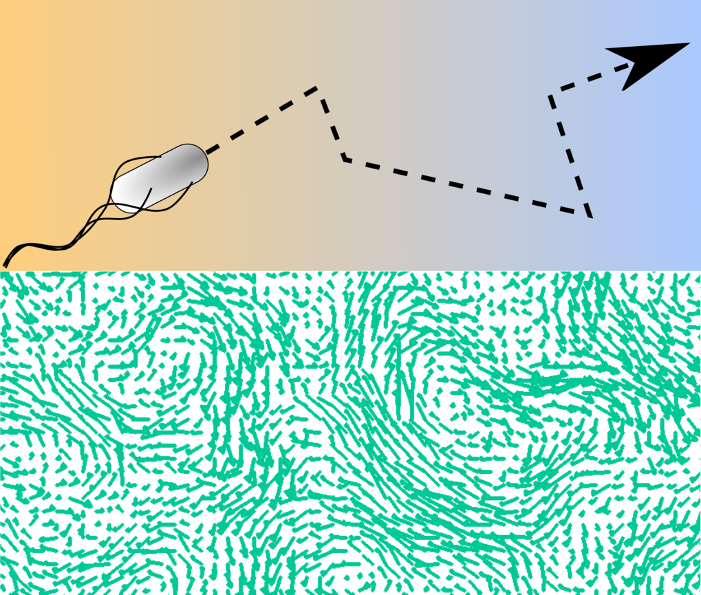 Research area