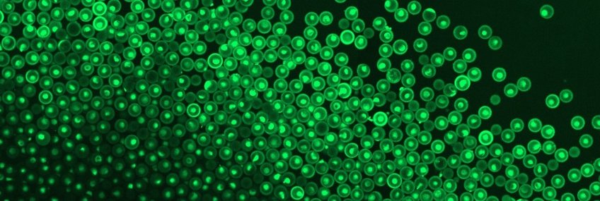 Cell-free Synthetic Biology Cell-free Synthetic Biology