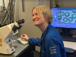 During her post-doc time in San Diego, Henrike Niederholtmeyer developed cell-like structures that can be programmed with artificial networks.