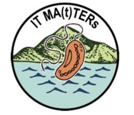 "It-Ma(t)Ter(s)" Conference "It-Ma(t)Ter(s)" Conference