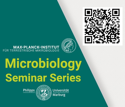  Genetic and non-genetic solutions to survive a lethal metabolic stress in <i>Methylobacterium extorquens</i> 